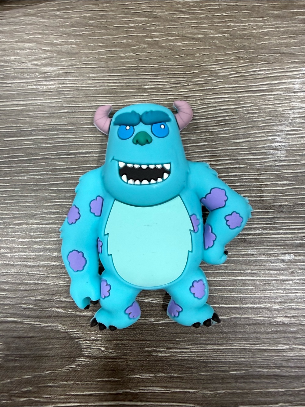 Sulley Blind Bag Magnet